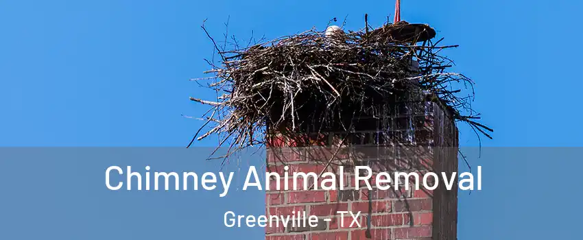  Chimney Animal Removal Greenville - TX