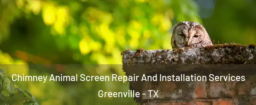  Chimney Animal Screen Repair And Installation Services Greenville - TX