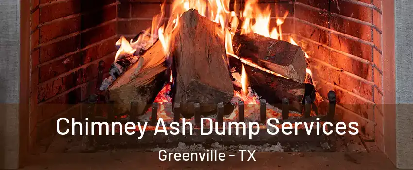  Chimney Ash Dump Services Greenville - TX