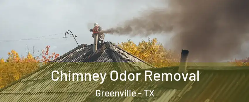  Chimney Odor Removal Greenville - TX