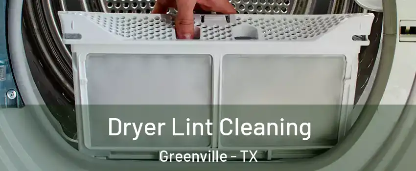  Dryer Lint Cleaning Greenville - TX