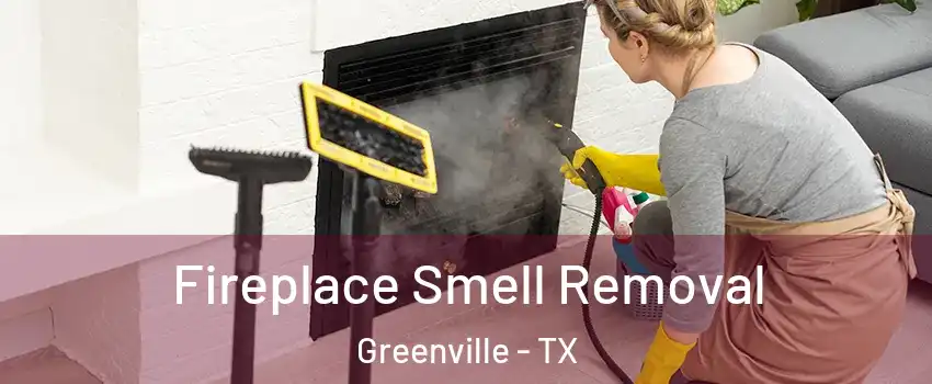  Fireplace Smell Removal Greenville - TX