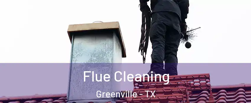  Flue Cleaning Greenville - TX