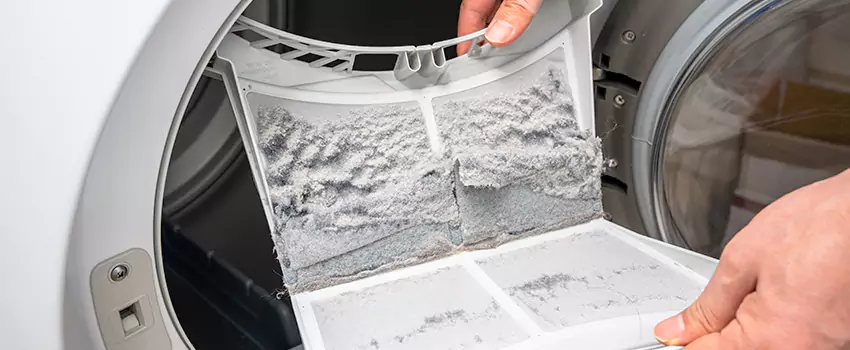Best Dryer Lint Removal Company in Greenville, Texas