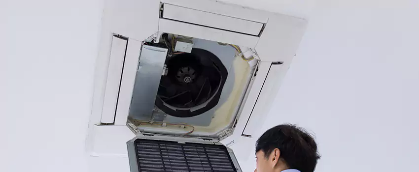 Benefits of Professional Air Duct Cleaning in Greenville, Texas