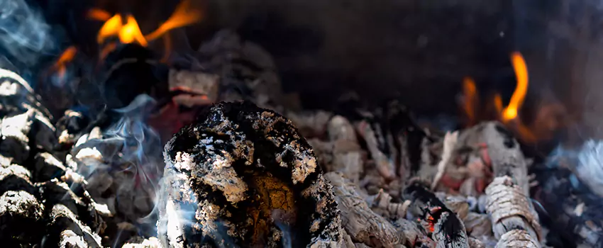 Creosote Removal Experts in Greenville, TX