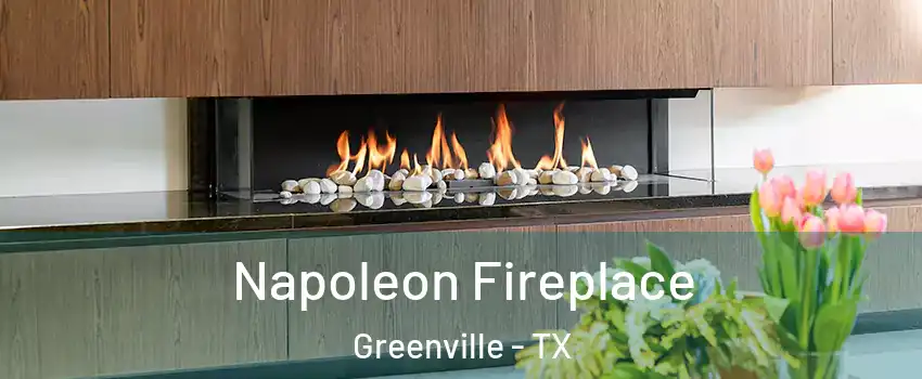  Napoleon Fireplace Greenville - TX