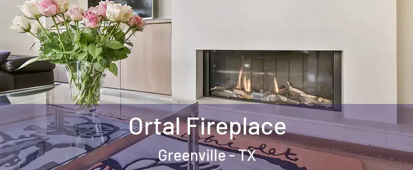  Ortal Fireplace Greenville - TX